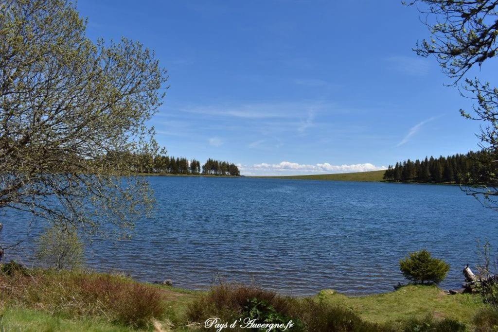 Vakantiehuis Lesmyosotis-messeix ***espace Et Calme 2/3p *